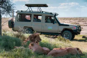 6-Tage Safari - Serengeti-Pfad mit Tarangire-Nationalpark