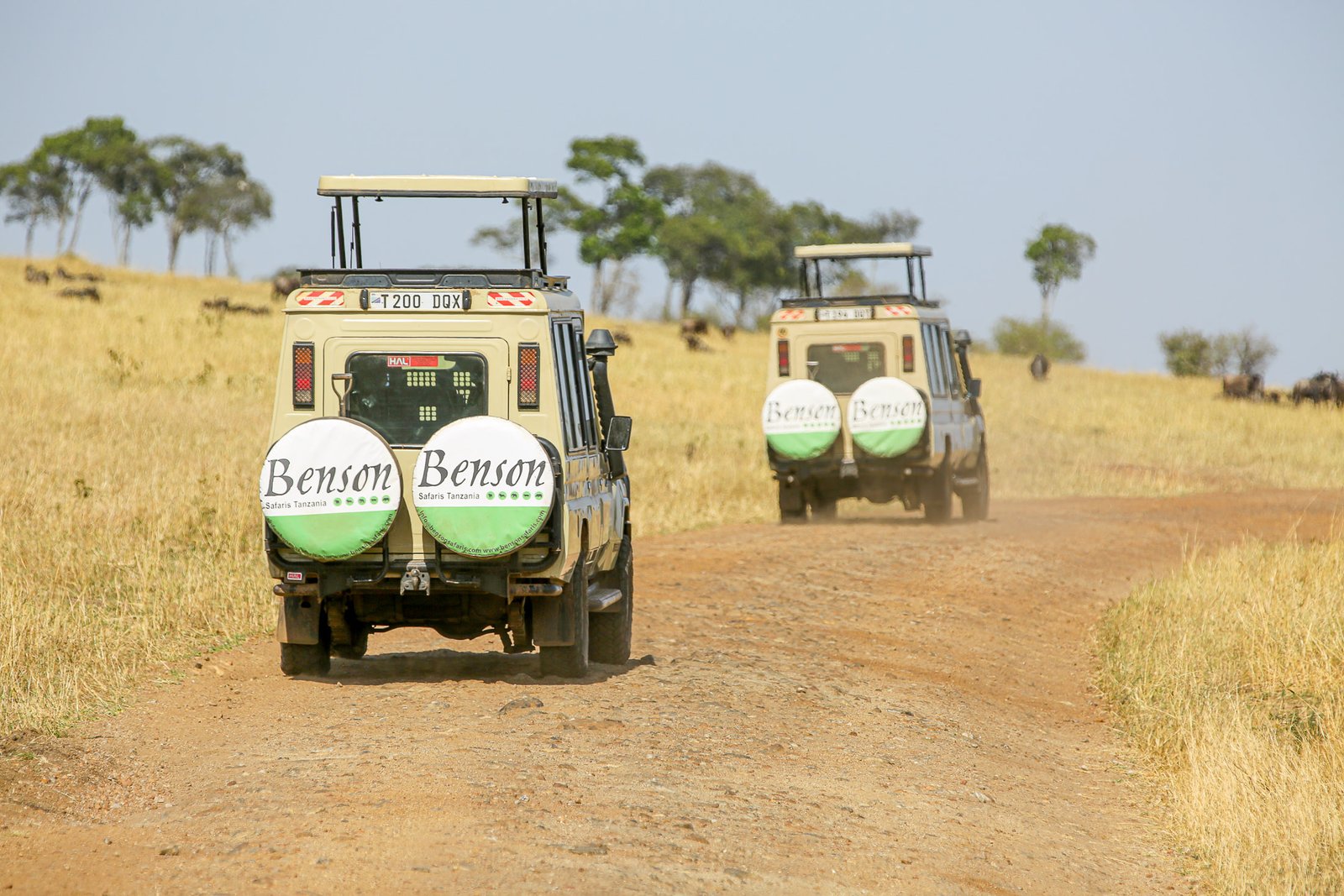 Benson Safaris
